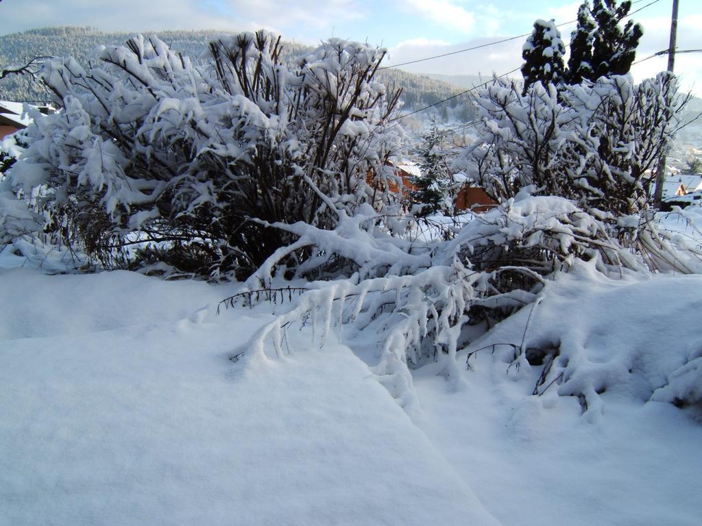 B&B Chalet L'Epinette Gérardmer Εξωτερικό φωτογραφία