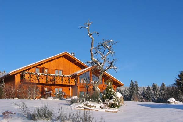 B&B Chalet L'Epinette Gérardmer Εξωτερικό φωτογραφία