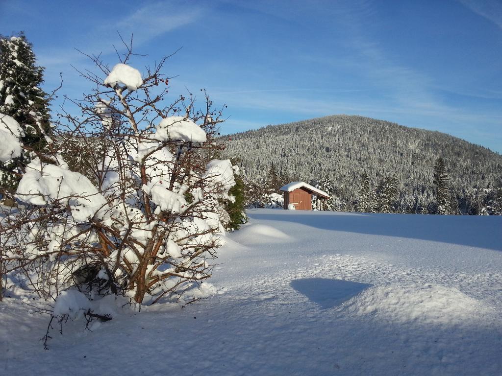 B&B Chalet L'Epinette Gérardmer Εξωτερικό φωτογραφία