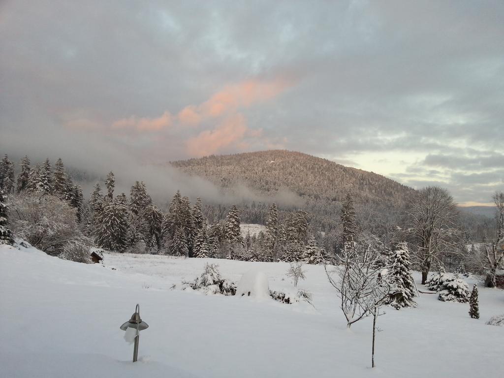 B&B Chalet L'Epinette Gérardmer Εξωτερικό φωτογραφία