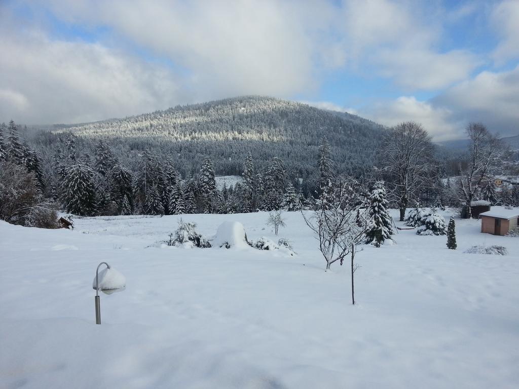 B&B Chalet L'Epinette Gérardmer Εξωτερικό φωτογραφία