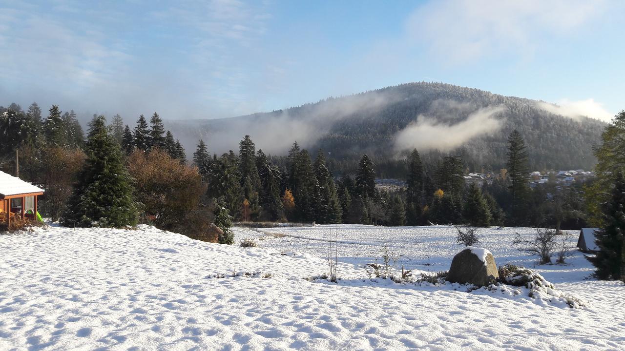 B&B Chalet L'Epinette Gérardmer Εξωτερικό φωτογραφία