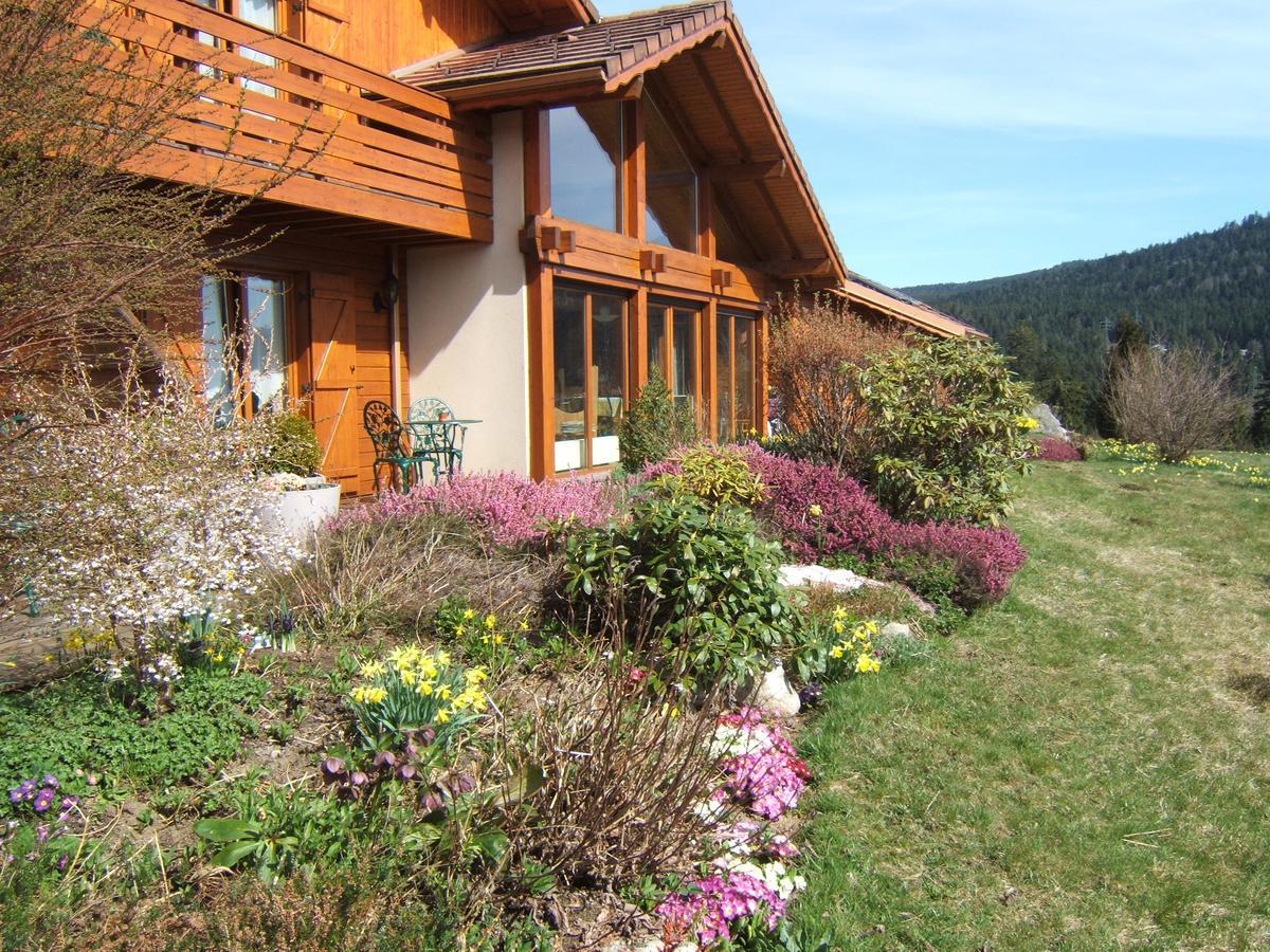 B&B Chalet L'Epinette Gérardmer Εξωτερικό φωτογραφία